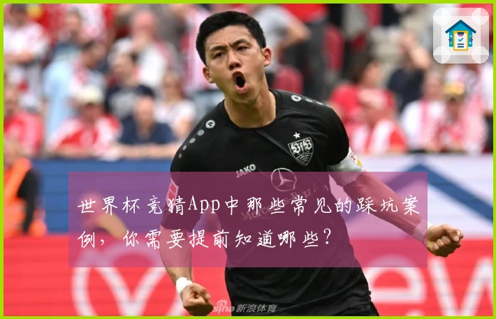 世界杯竞猜App中那些常见的踩坑案例,你需要提前知道哪些?